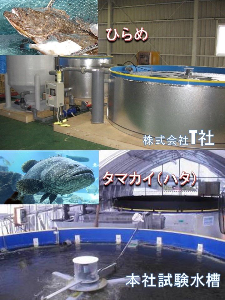 陸上養殖試験水槽「ONEパレット水槽」